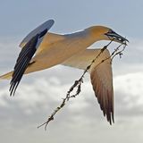 GEO Leserfoto: Die besten Leserfotos: Juli 2016 - Bild 9