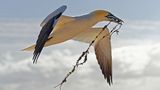 GEO Leserfoto: Die besten Leserfotos: Juli 2016 - Bild 9