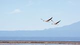 GEO Leserfoto: Die besten Leserfotos: Juli 2016 - Bild 14