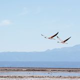 GEO Leserfoto: Die besten Leserfotos: Juli 2016 - Bild 14