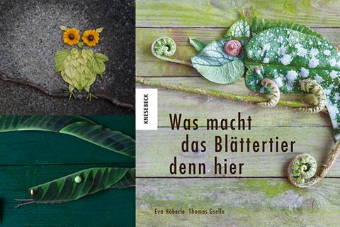 Buchtipp: Was macht das Blättertier denn hier?