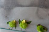 Vögel