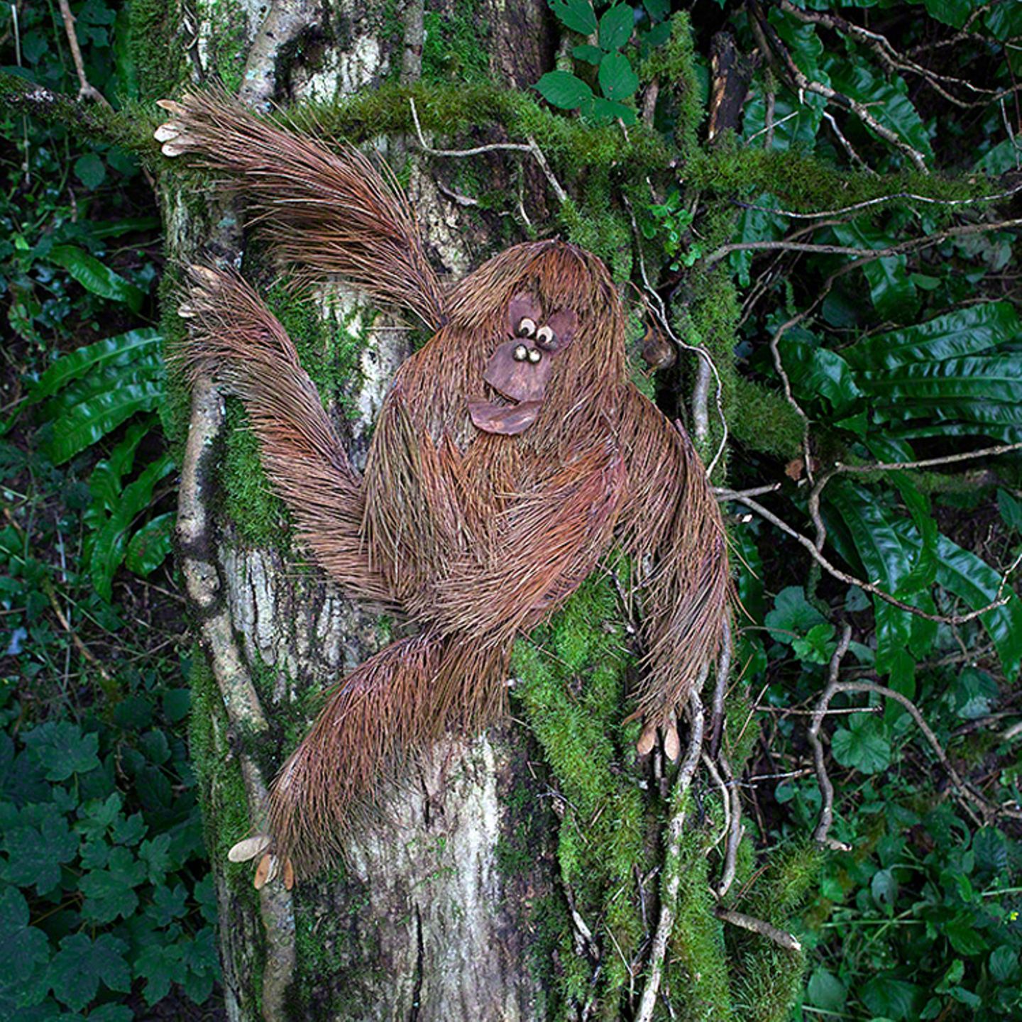 Orang-Utan