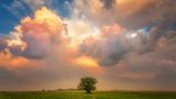 Kansas, USA