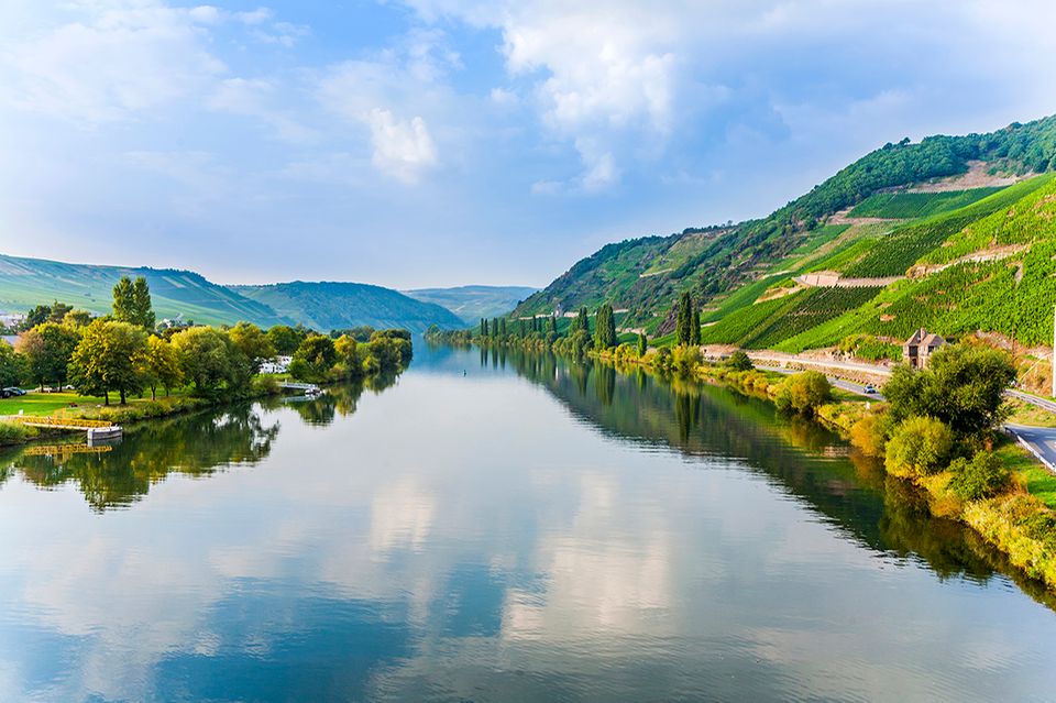 Mosel 1.5006