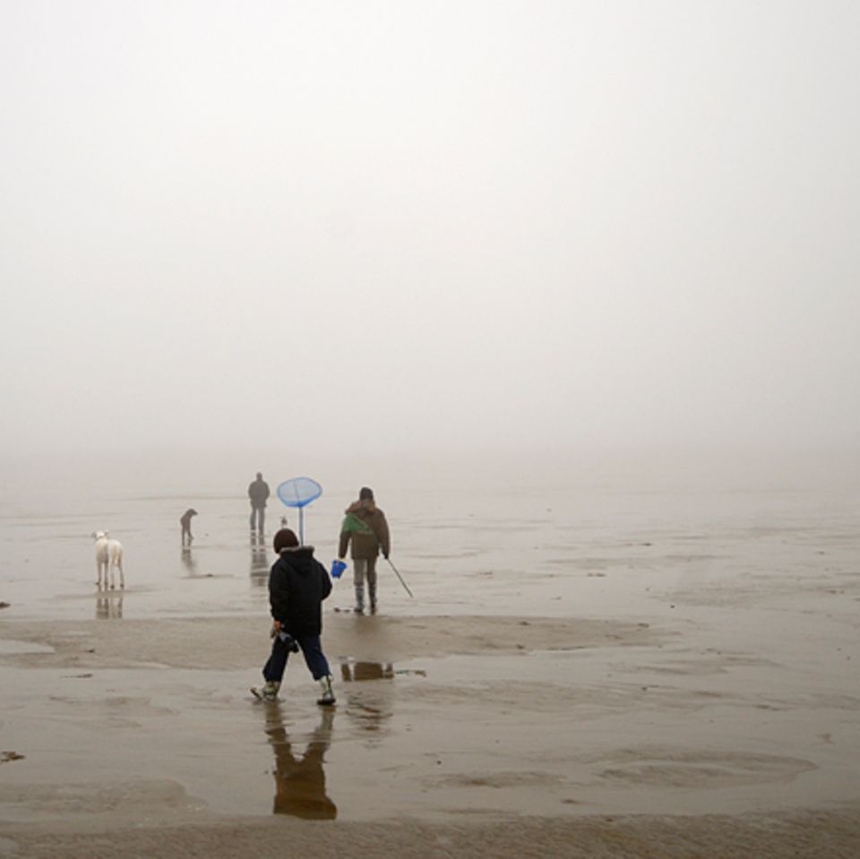 Gib mir fünf: Fünfmal staunen über Nebel