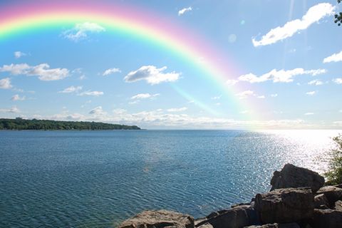 Kurioses Wissen: Fünfmal staunen über den Regenbogen