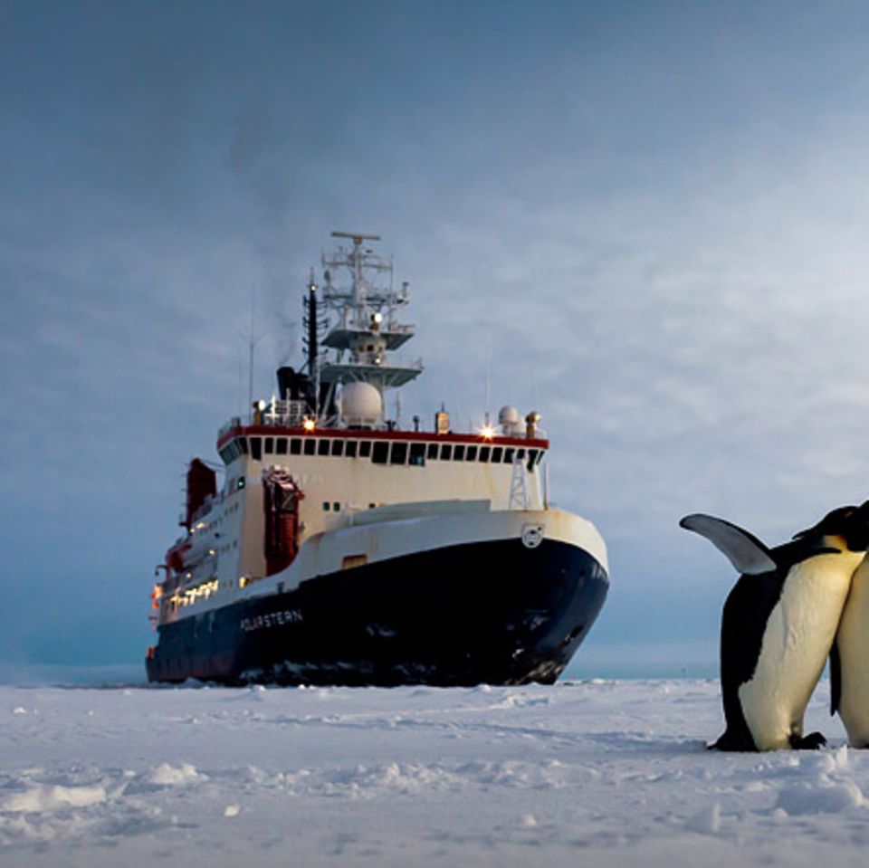 Polarstern: Unterwegs in die Antarktis