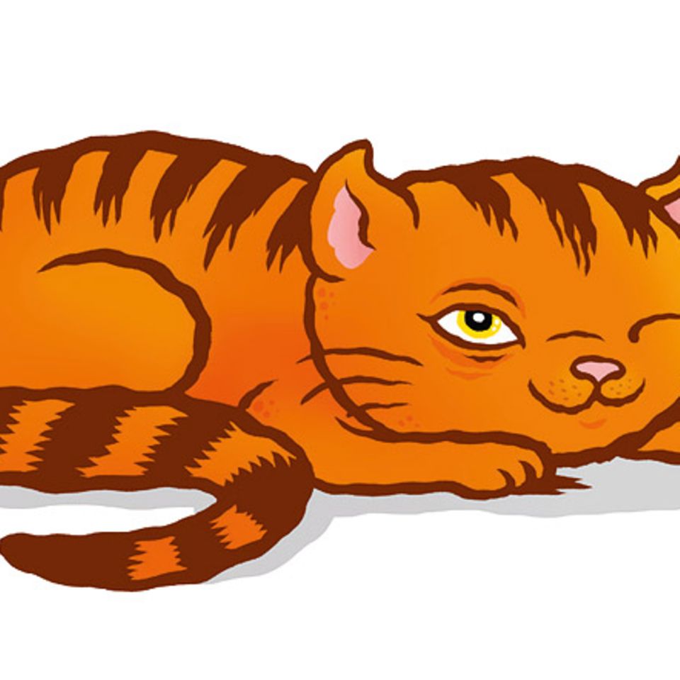 Tiersprache: Katzensprache für Anfänger