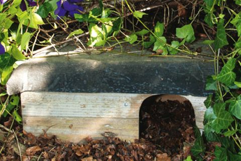 Buchtipp & Anleitungen: Insekten- und Tierhotels bauen