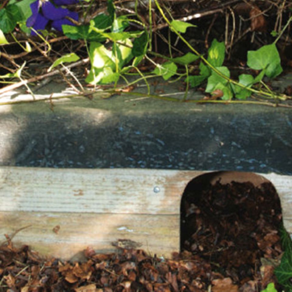 Buchtipp & Anleitungen: Insekten- und Tierhotels bauen