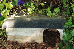 Für den Igel ein Haus bauen Bauanleitung [GEOLINO]