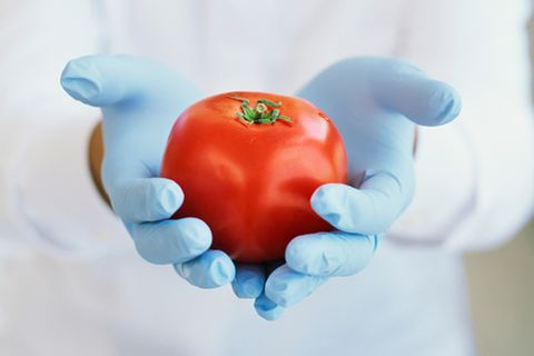 Ernährung: Gentechnik: Wie gut ist Gen-Food?