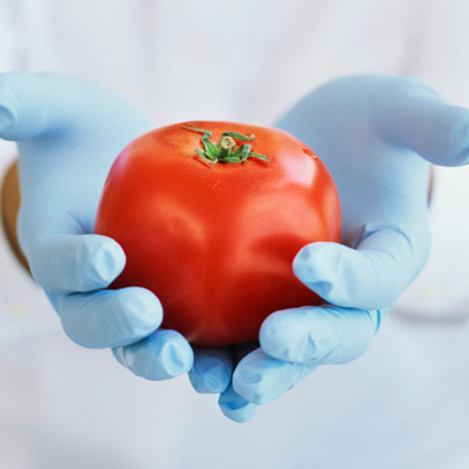 Ernährung: Gentechnik: Wie gut ist Gen-Food?