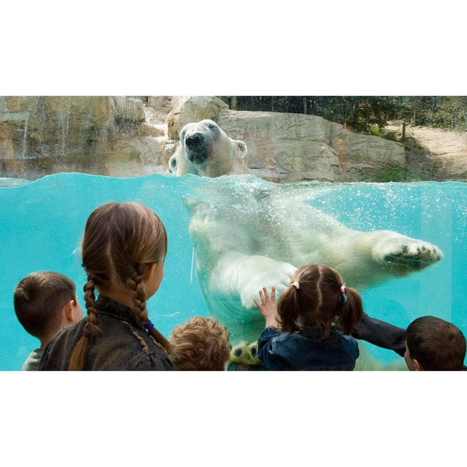 Diskussion: Meinungen zum Zoo