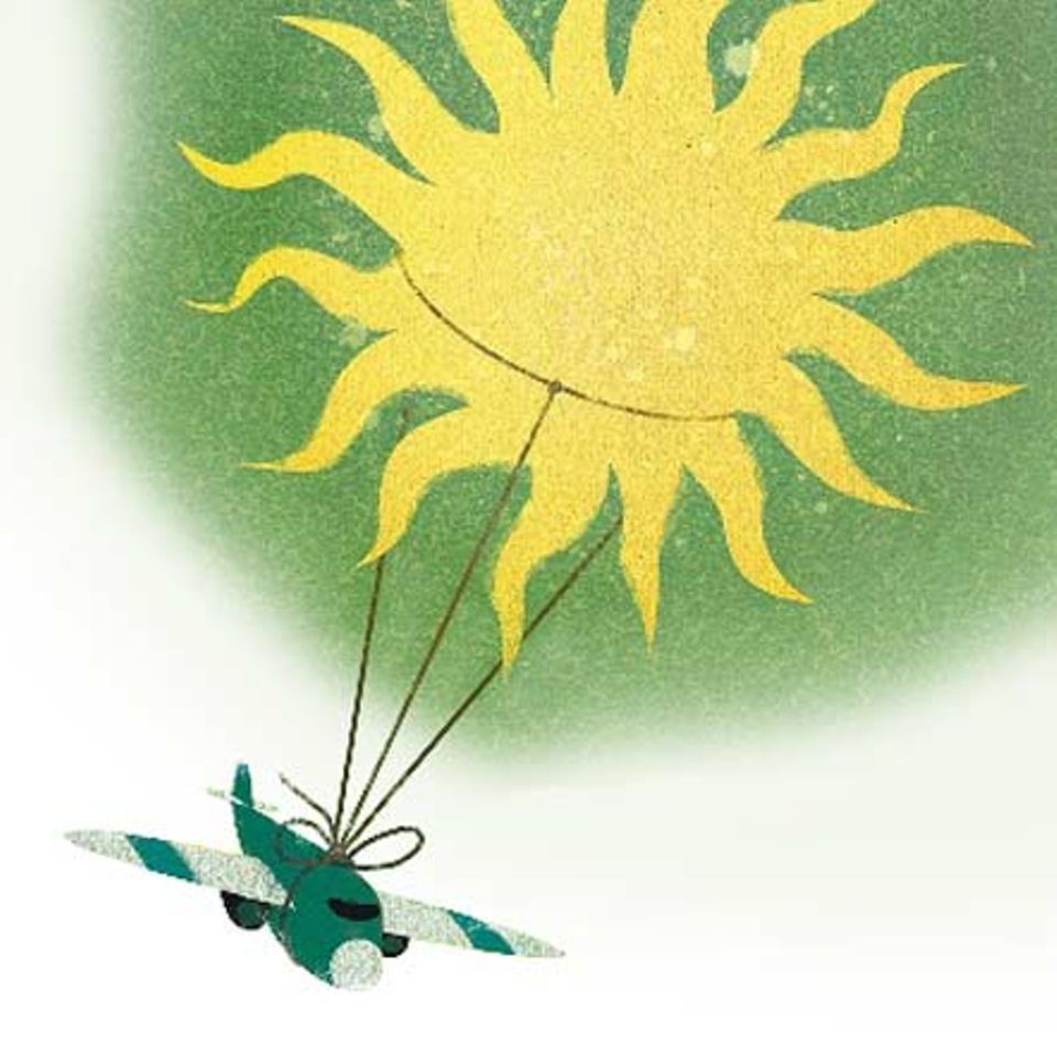Grüner Fliegen
