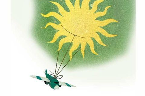 Grüner Fliegen