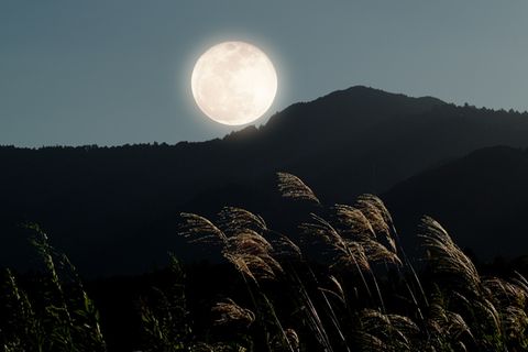 Der Mond - unser ständiger Begleiter