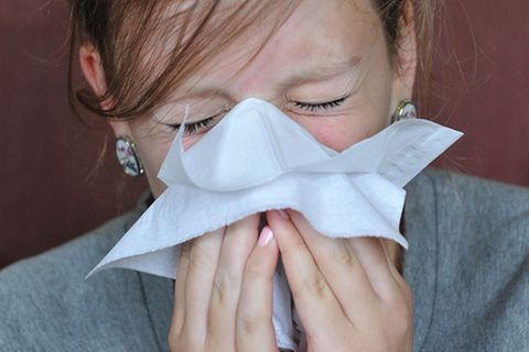 Gesundheit: Der Grippe den Kampf ansagen