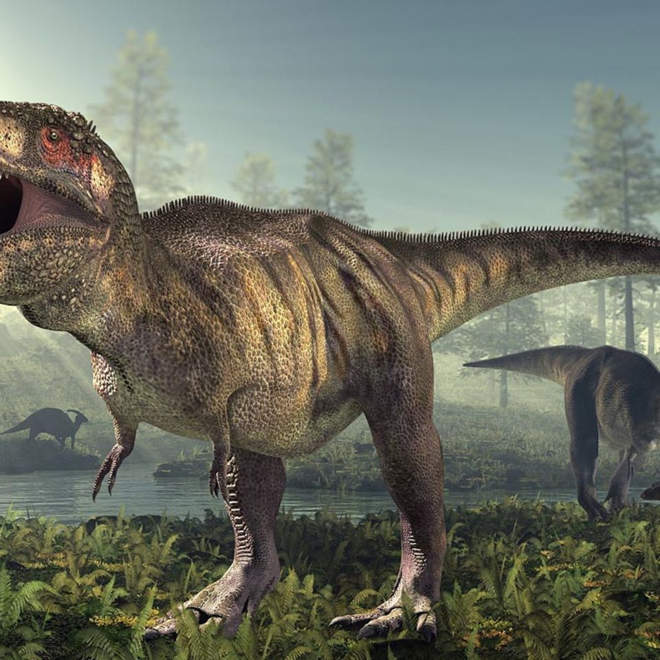 Dinosaurier: Sue, ein Killer im Überformat