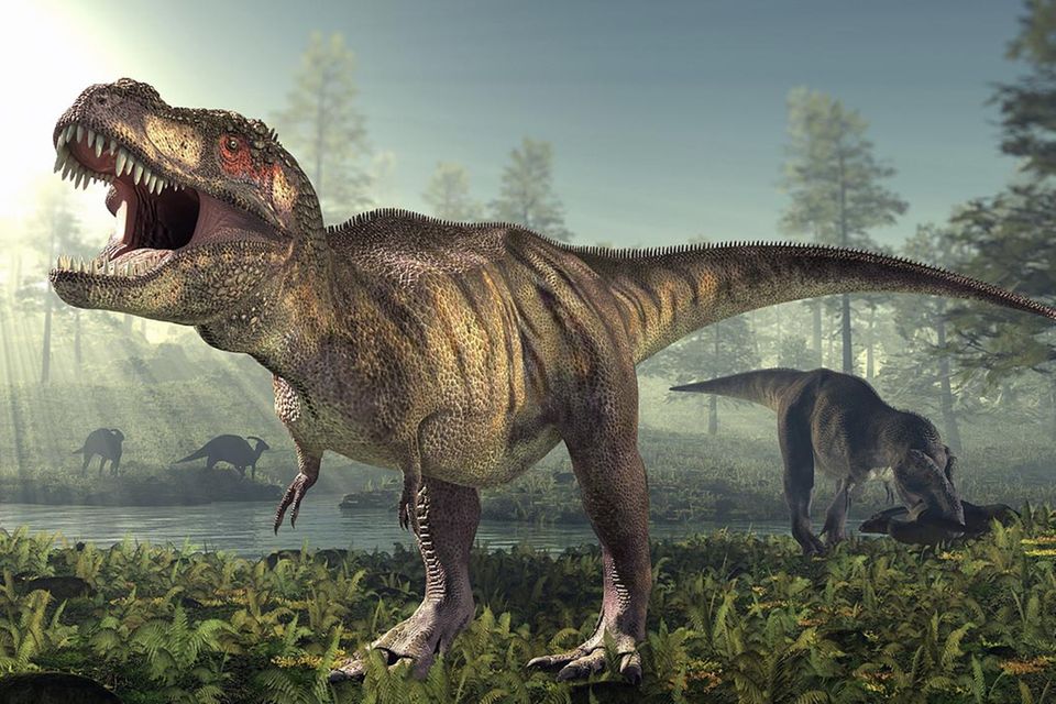 Dinosaurier: Sue, ein Killer im Überformat