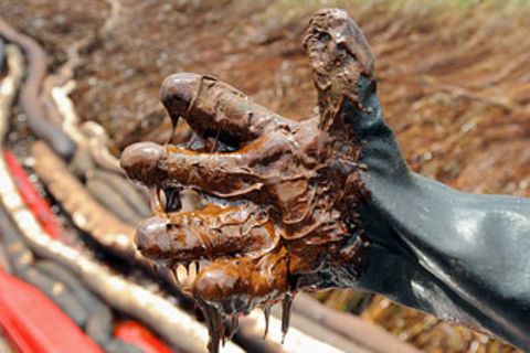 Ölpest: Der schmierige Schrecken