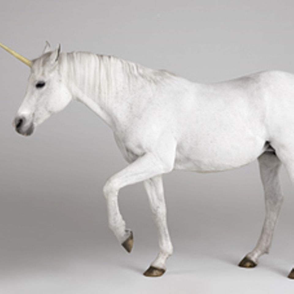 Fabelwesen: Das Einhorn - Die Wahrheit hinter dem Mythos