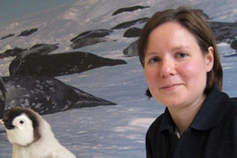Antarktis: Heidi im Gefrierfach der Erde
