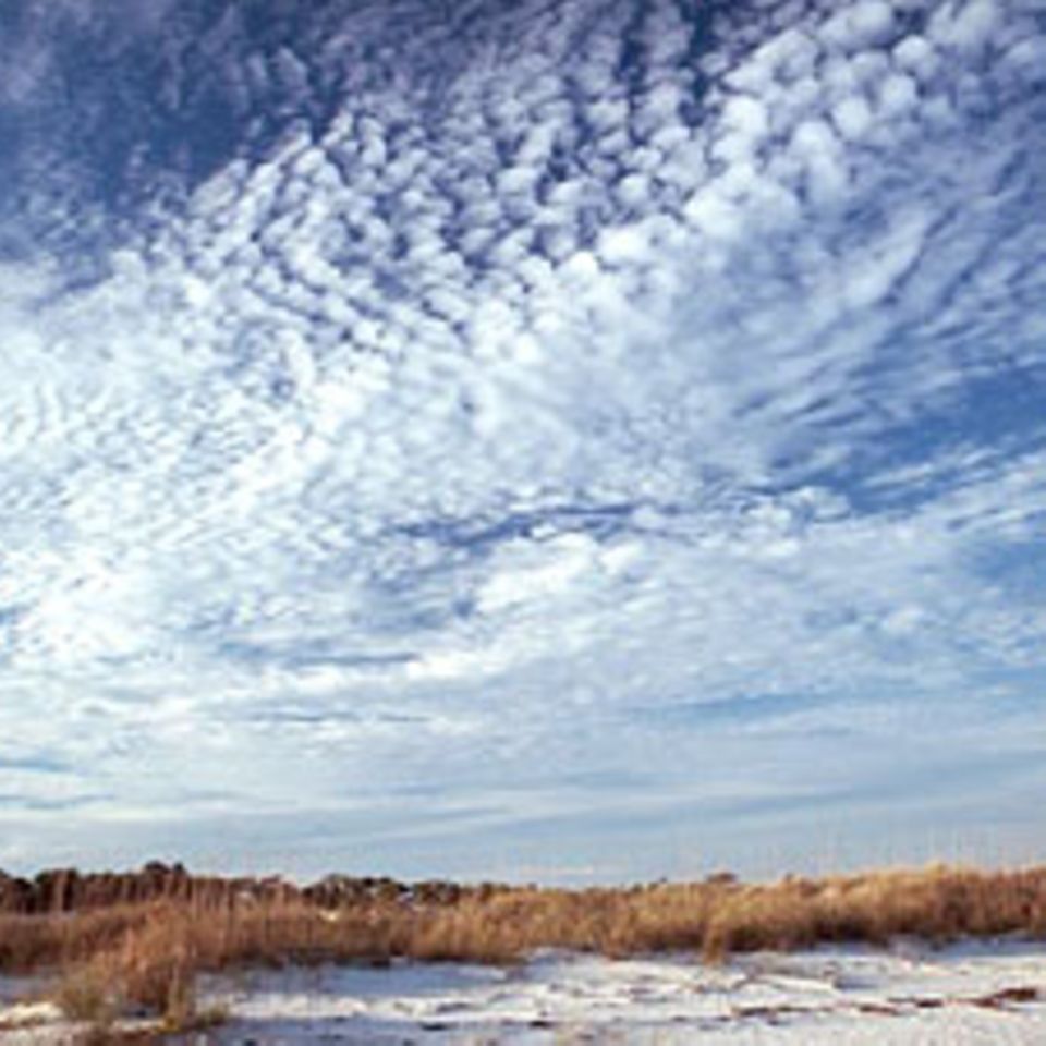 Wetter: Die Sprache der Wolken