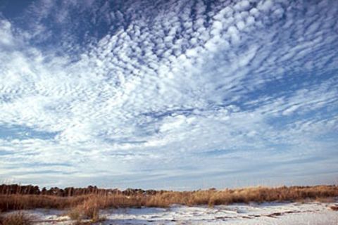 Wetter: Die Sprache der Wolken