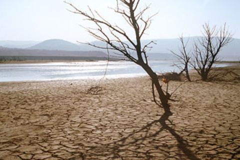 Globale Erwärmung: Klimawandel: Es wird wärmer!