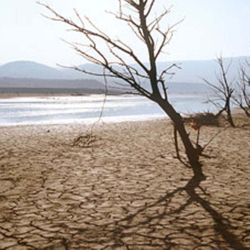 Globale Erwärmung: Klimawandel: Es wird wärmer!