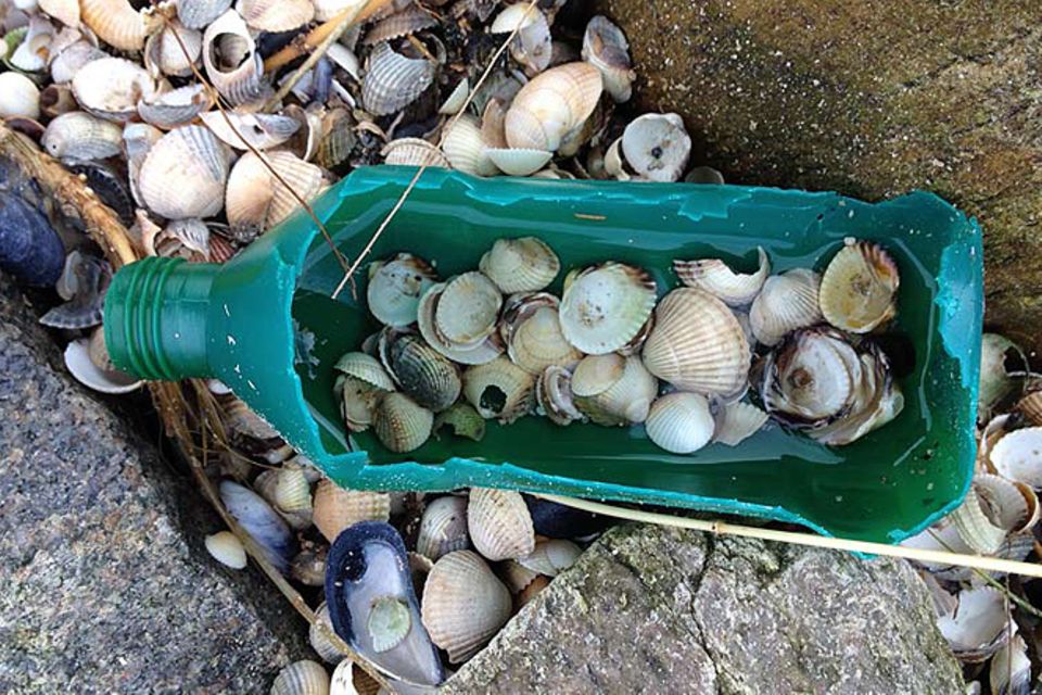 Umweltschutz: Strandgut mal anders
