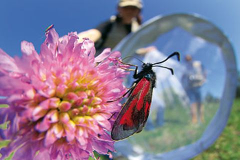 Fotoshow: Wildnis in Thüringen