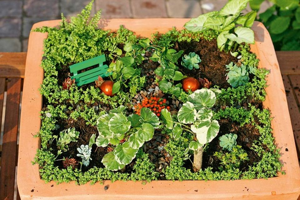 Urban Gardening: Eine grüne Oase für euer Zimmer