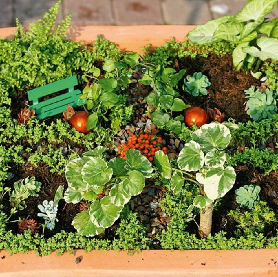 Urban Gardening: Eine grüne Oase für euer Zimmer