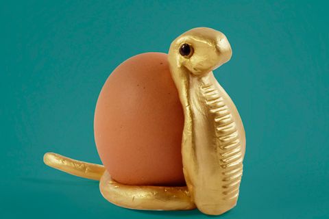 Gib Gummi Bärchen: Ein königlicher Eierbecher