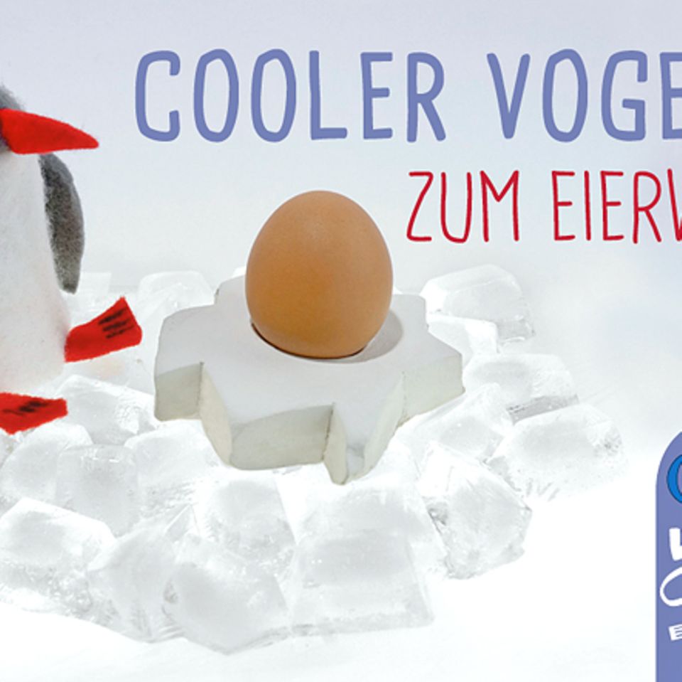 Grüße aus der Antarktis: Cooler Vogel zum Eierwärmen