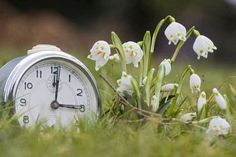 Zeitumstellung: Sommerzeit: Die geklaute Stunde