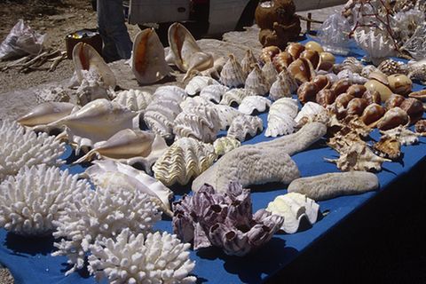 Vorsicht vor falschen Urlaubs-Souvenirs!