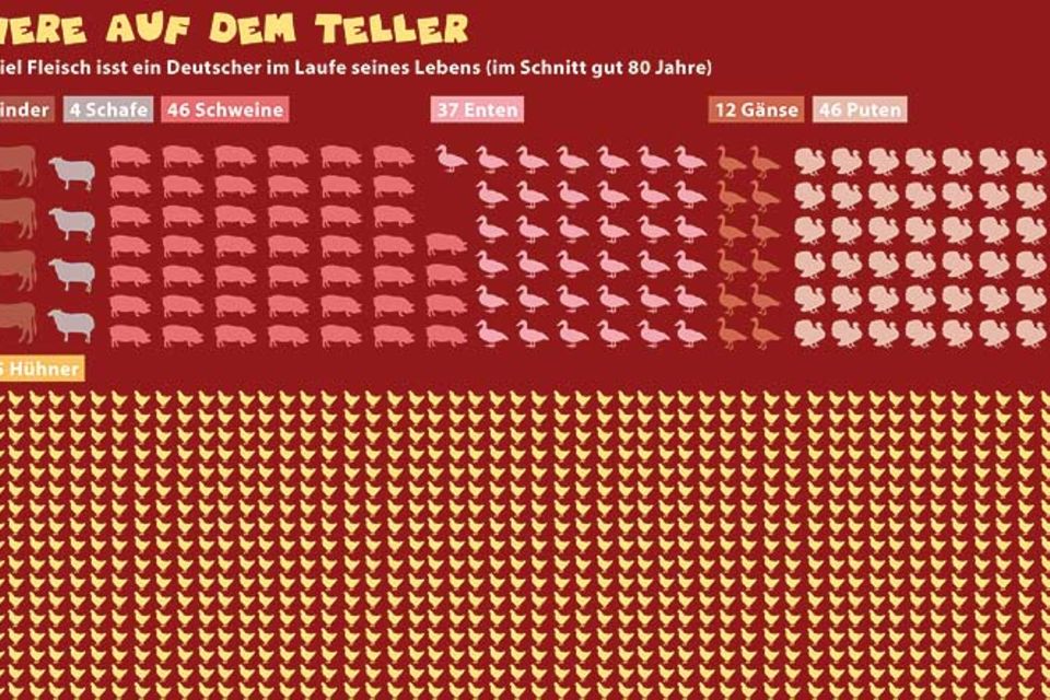 Jetzt geht's um die Wurst!