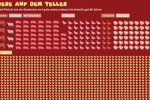 Jetzt geht's um die Wurst!