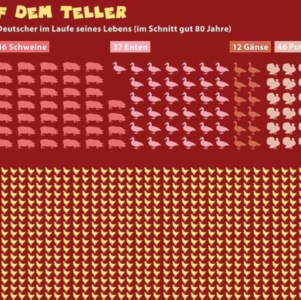 Jetzt geht's um die Wurst!
