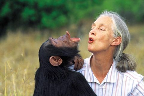 Weltveränderer: Jane Goodall