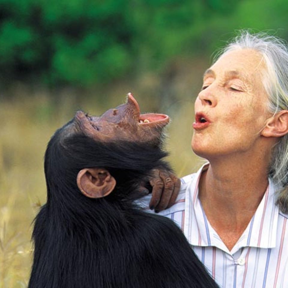 Weltveränderer: Jane Goodall