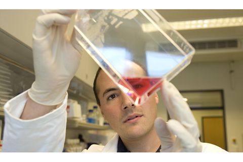 Aids: Aids: Ein Virus bedroht die Welt