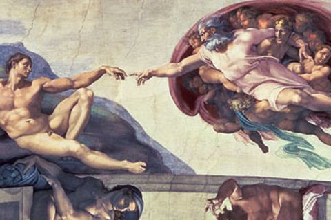 Gott oder Darwin?