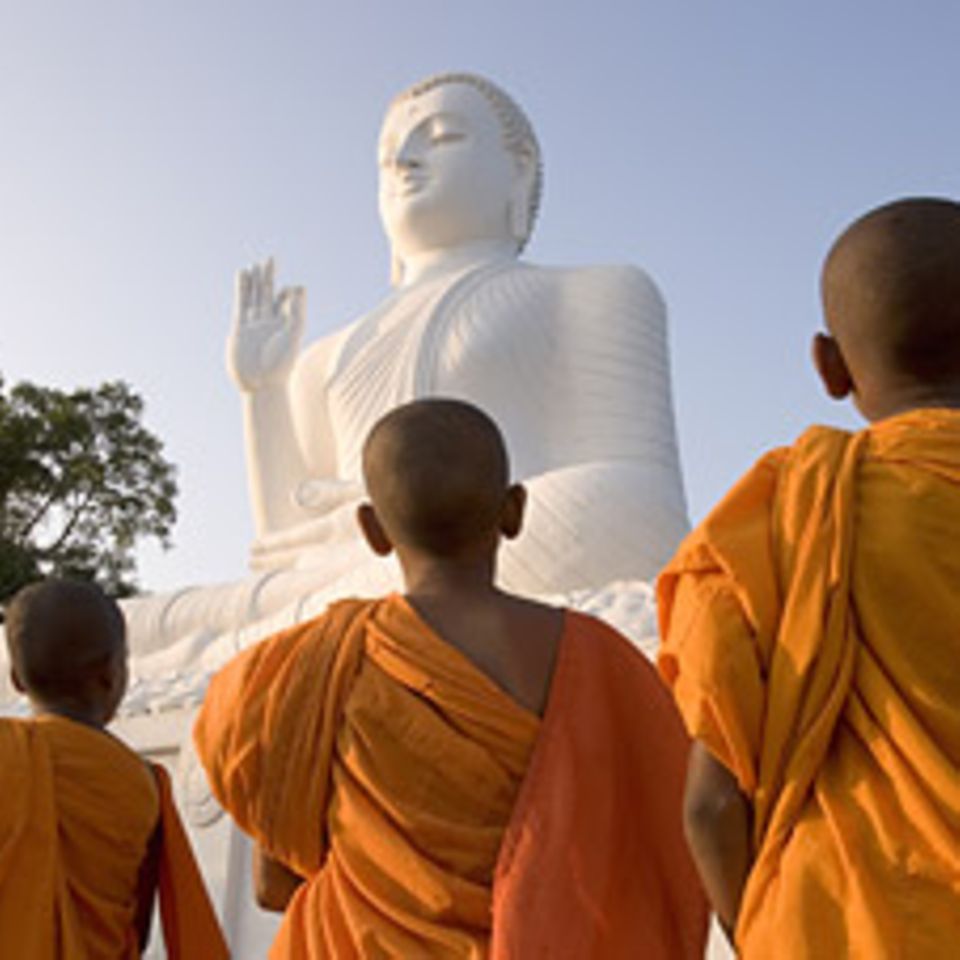 Weltreligionen: Der Buddhismus