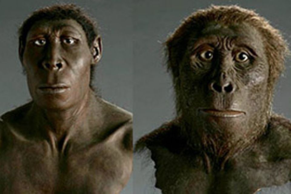 Geschichte: Die Evolution des Menschen