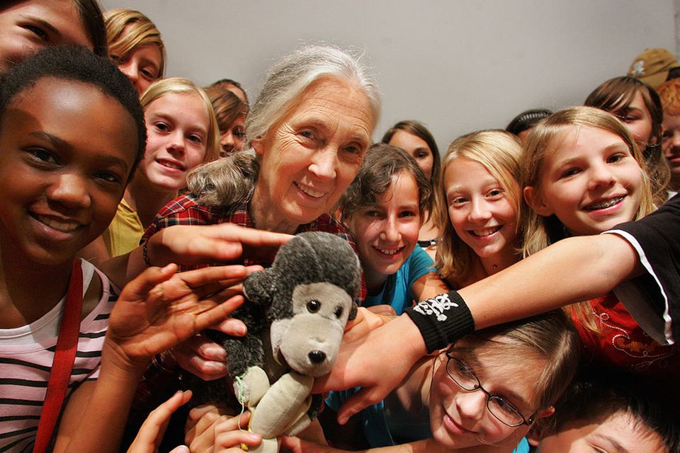 Jane Goodall: Ein Leben für den Naturschutz